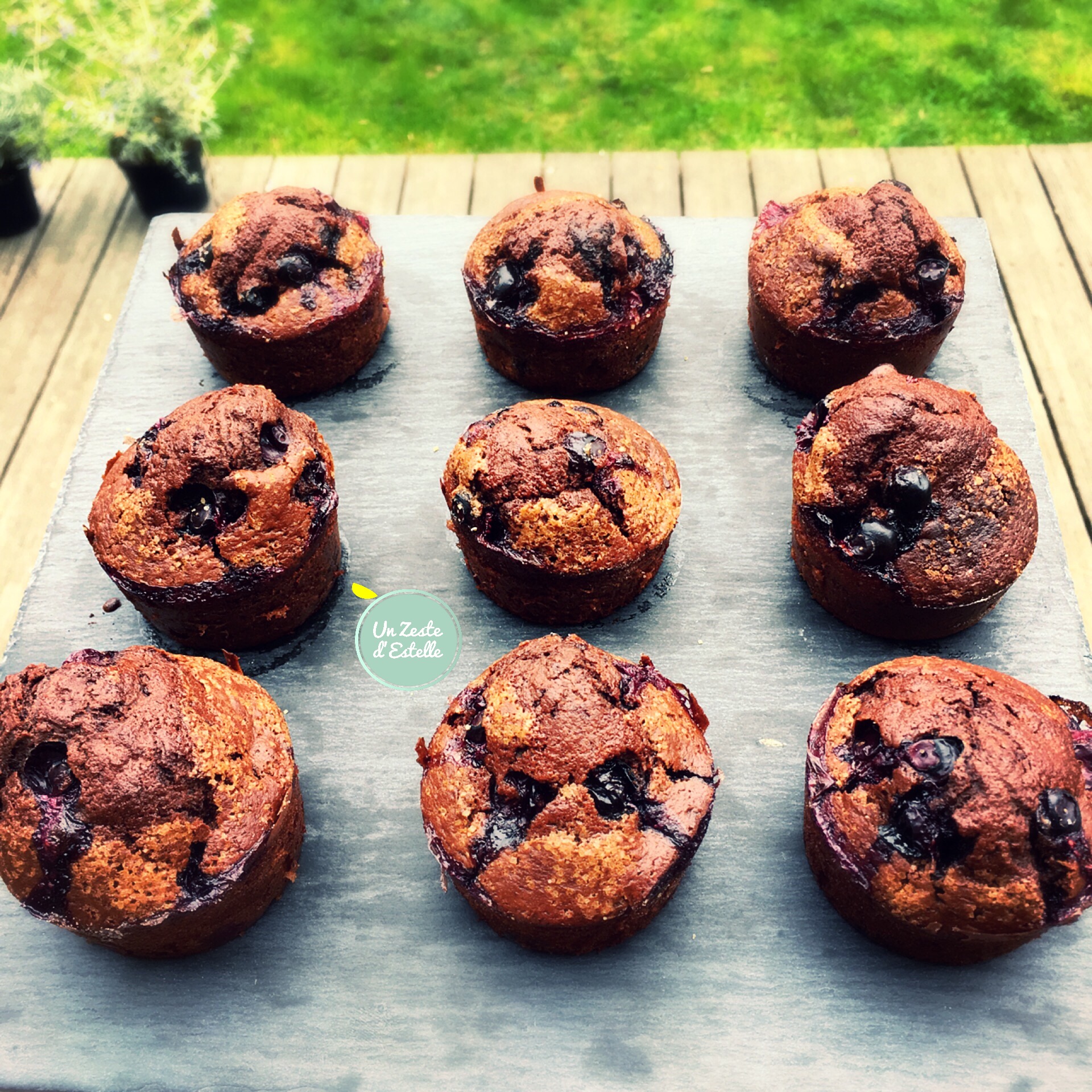 Muffins L Gers Chocolat Et Myrtilles Un Zeste D Estelle